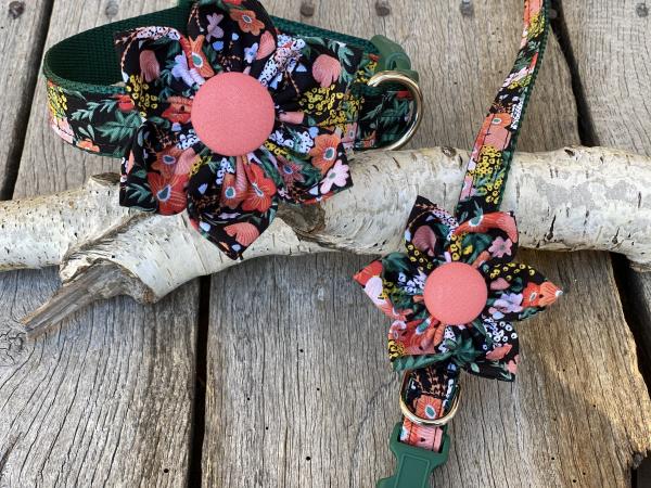 Jane's Bloomers Fabric/Nylon Collar