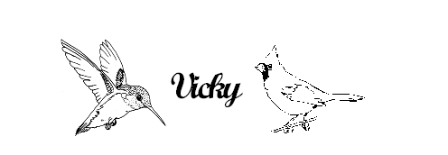 12 Oz Stemless Wine Glass picture