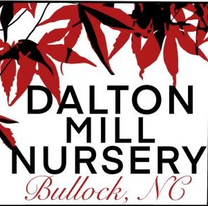 Dalton Mill Nursery
