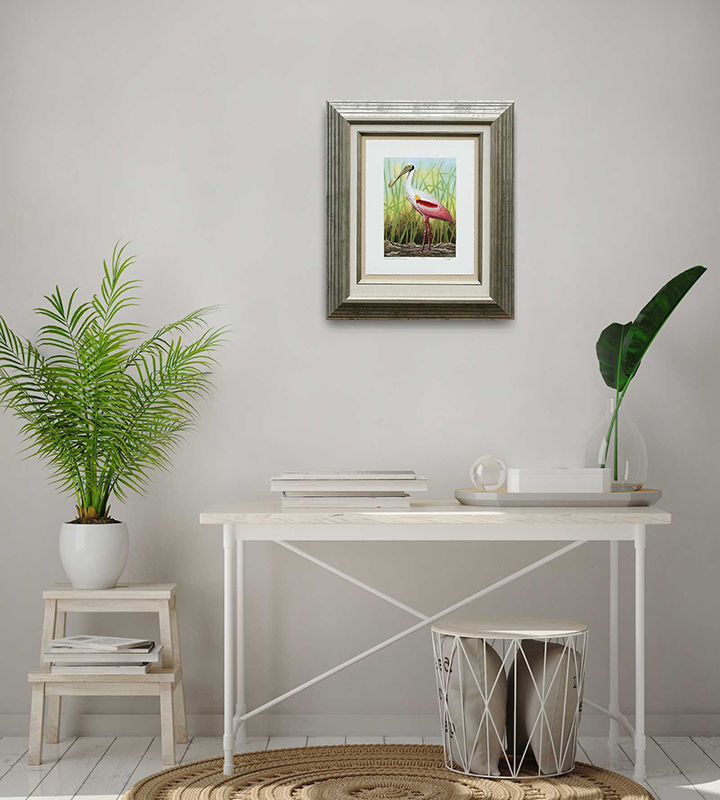 "Roseate Spoonbill in Grass" picture