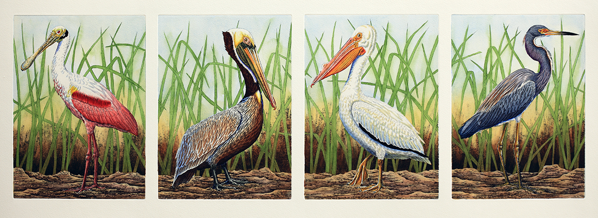 "Florida Bird Series 3" picture