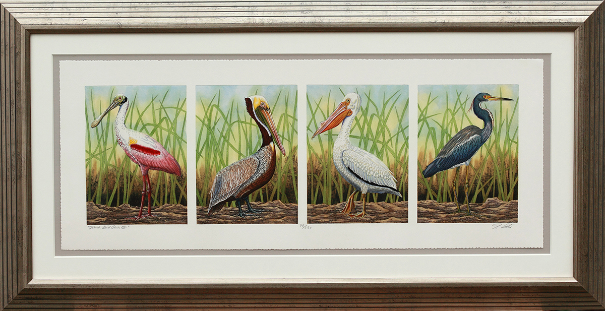 "Florida Bird Series 3" picture
