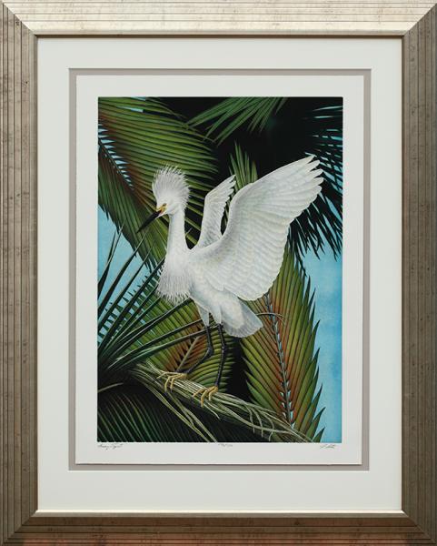 "Snowy Egret" picture