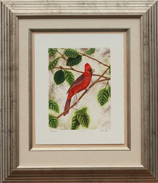 "Cardinal" picture