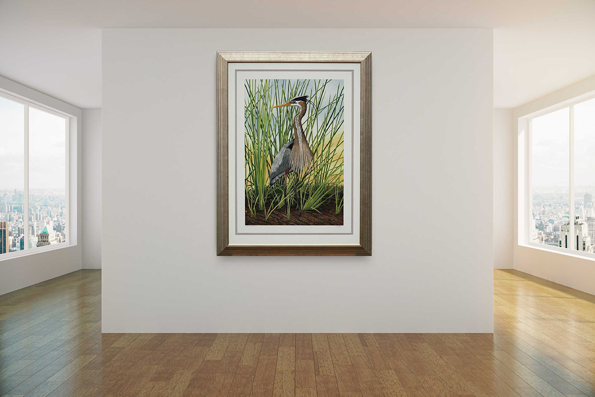 "Pensive Great Blue" picture