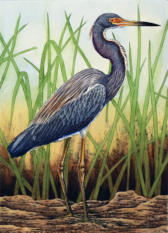 "Florida Bird Series 3" picture