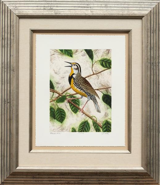 "Meadowlark" picture