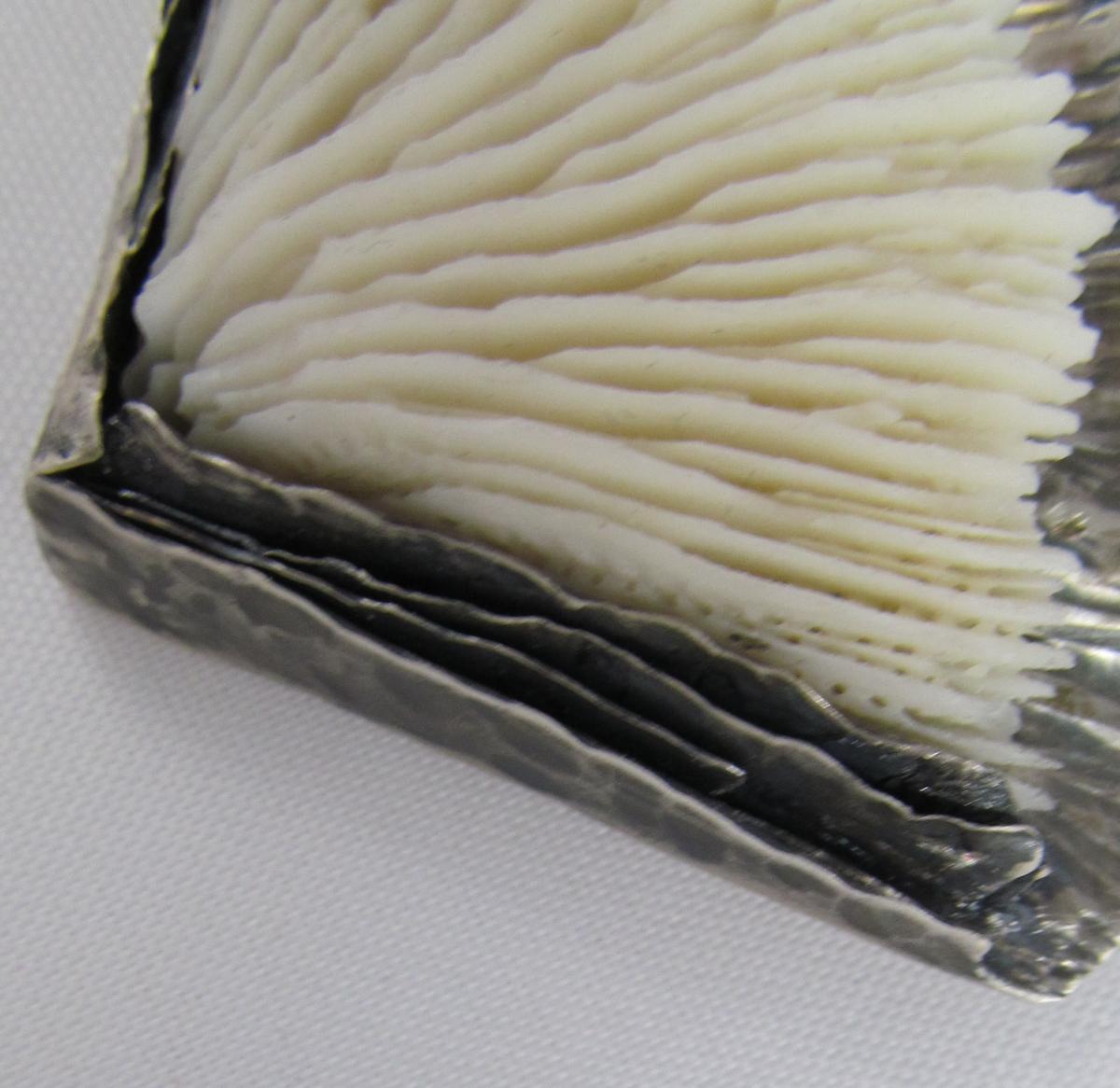 Deep Under the Sea picture