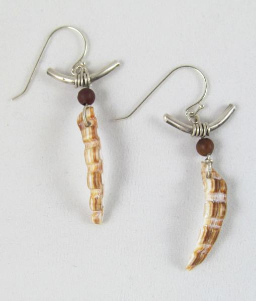 U shape shell earrings
