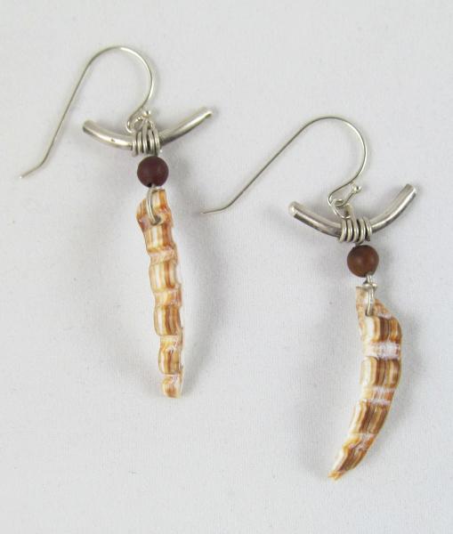 U shape shell earrings picture