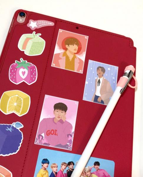 Seventeen Kpop Sticker Set picture