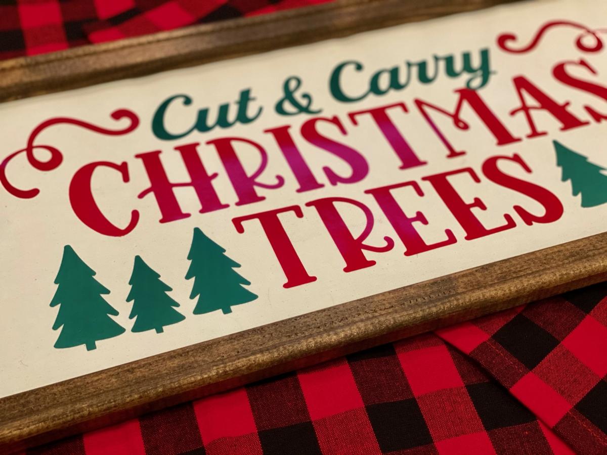 Christmas Trees picture