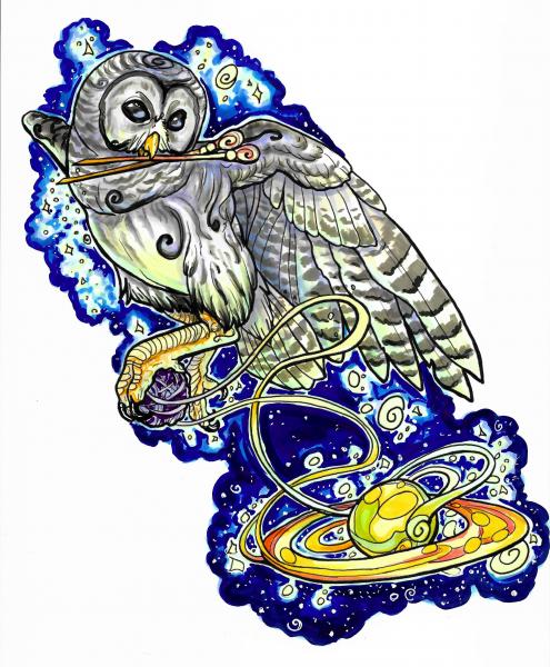 Galaxy Owl