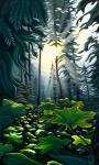 Light in the Forest Framed Metal Giclee