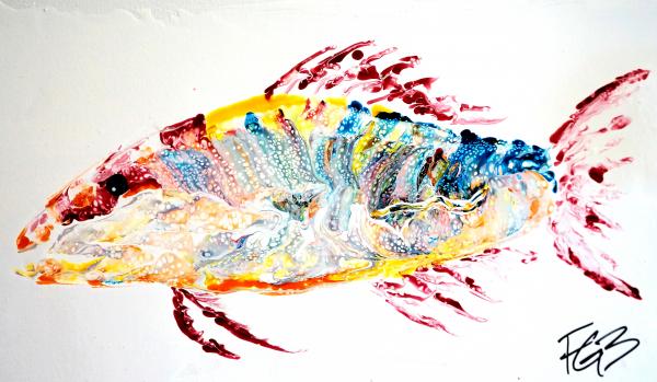 Fish Pour onWhite