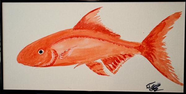 Redfish on White