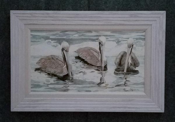 Pelican II, framed, canvas print