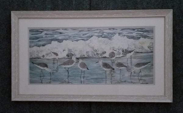 willets on the beach framed print