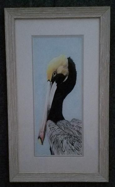 Pelican Profile, framed print on water color paper