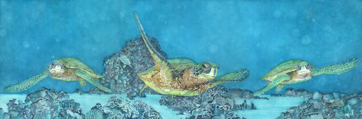 Under Sea Turtles, canvas framed print picture