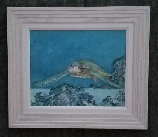 Turtle1, canvas framed print picture