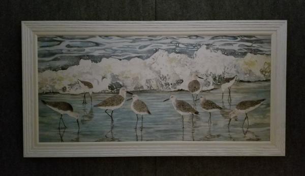 Willets on the beach framed, canvas print