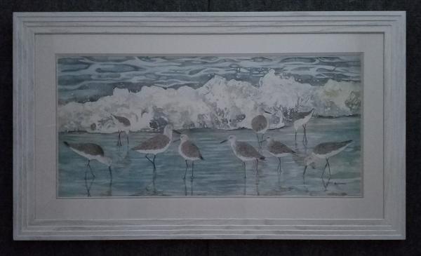 Willets on the beach framed original on water color paper