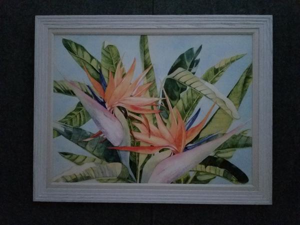 Exotic orange Bird framed canvas