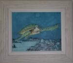 Turtle III, canvas framed print