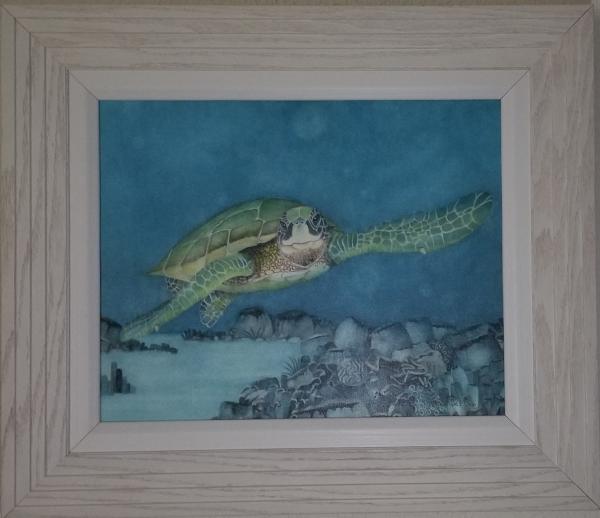 Turtle III, canvas framed print picture