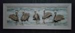 Brown Pelicans, Lg. canvas, framed print