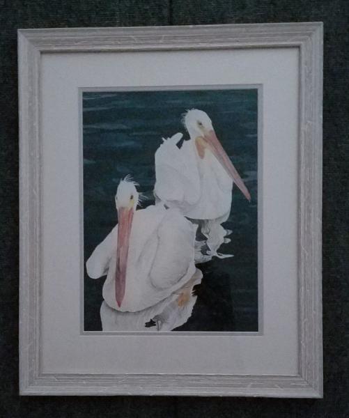 Pelican Duo, framed print picture