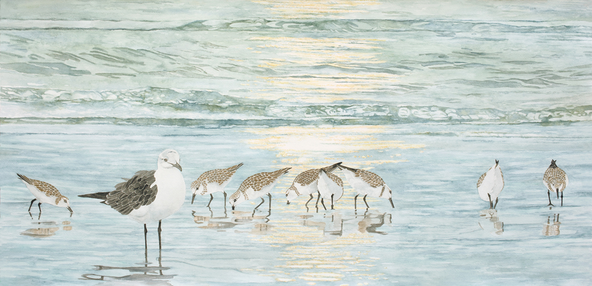 Sea Gull with Sandpipers, original water color painting picture