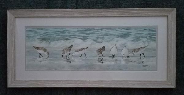 sandpipers on the beach , framed print