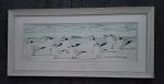 small Terns on the Beach, framed print