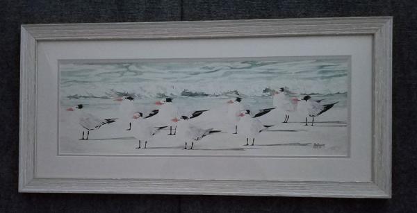 small Terns on the Beach, framed print