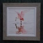 Spoonbill I, framed canvas print