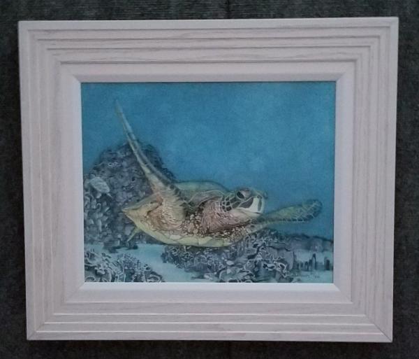 Turtle II, canvas framed print