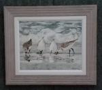 Sandpipers II, framed canvas print