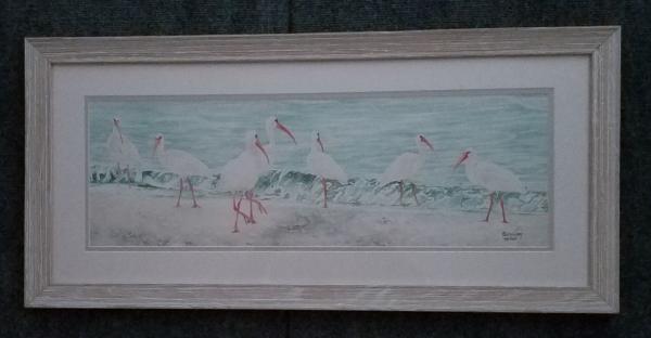 small Ibis on the Beach, framed print