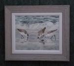 Sandpipers I canvas framed print