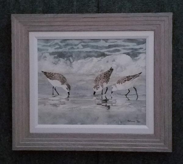 Sandpipers I canvas framed print picture