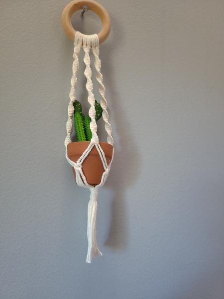 Mini macrame plant hangers picture