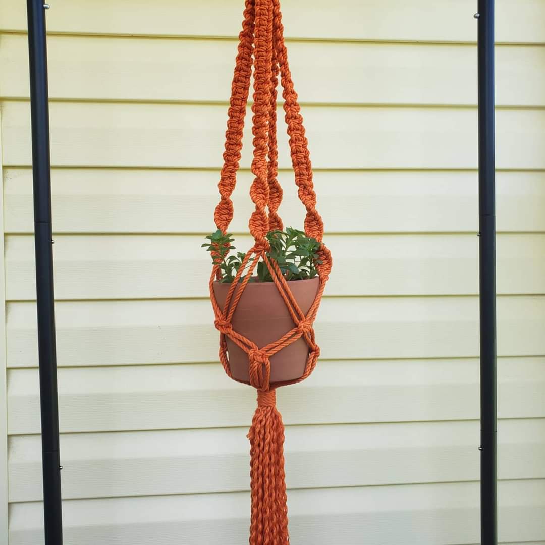 Macrame plant hangers picture