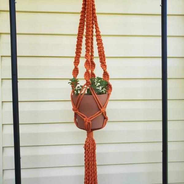 Macrame plant hangers picture