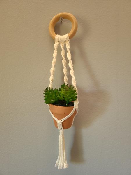 Mini macrame plant hangers