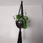 Macrame plant hangers