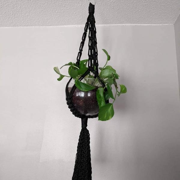 Macrame plant hangers picture