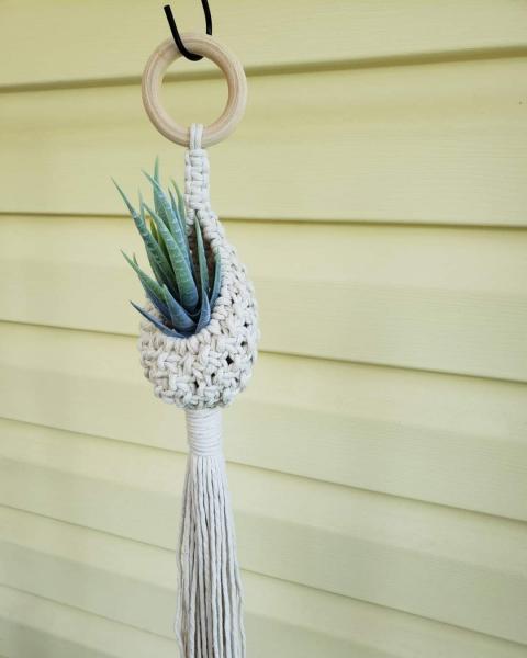 Macrame air plant pod picture