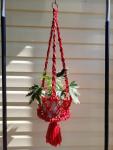 Macrame produce basket/plant hanger